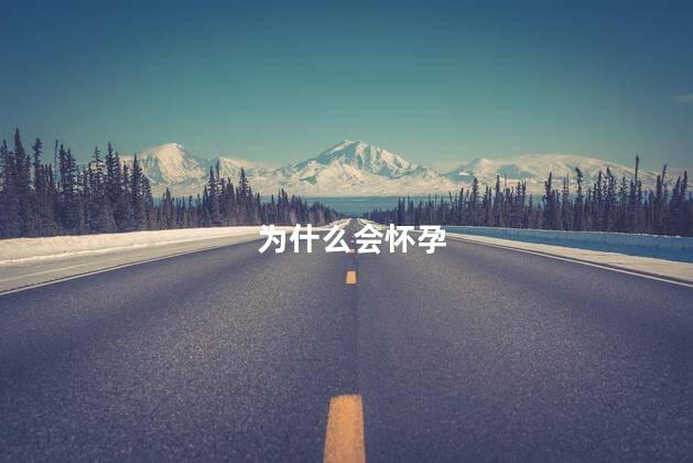 Ϊʲôỳ һ